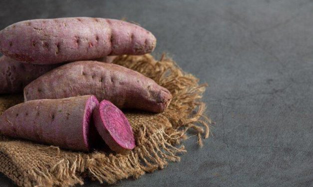 Ubi Jalar: Superfood Kaya Nutrisi Dan Antioksidan